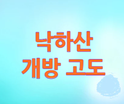 낙하산-개방-고도