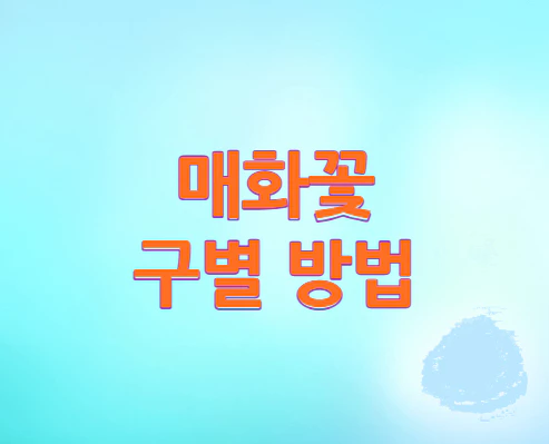 매화꽃-구별-방법