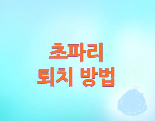 초파리-퇴치방법