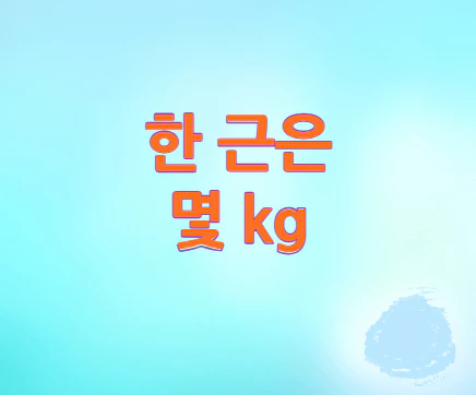 한-근은-몇-kg