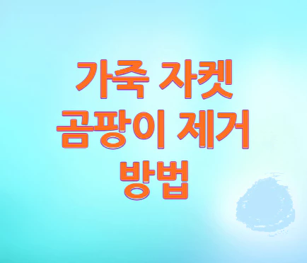 가죽-자켓-곰팡이