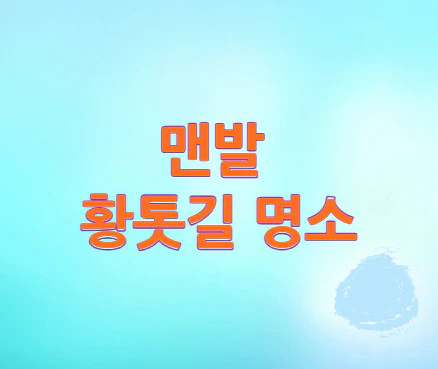 맨발-황톳길-명소