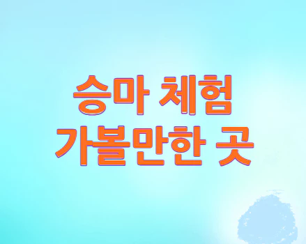 승마-체험