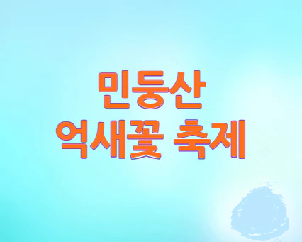 민둥산-억새꽃-축제