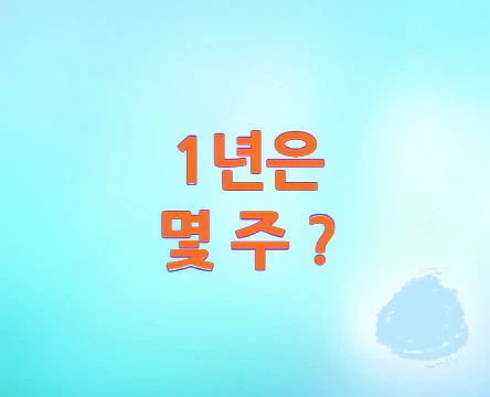1년은-몇주