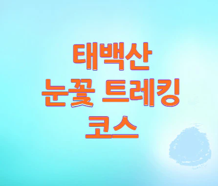 태백산-눈꽃-트레킹