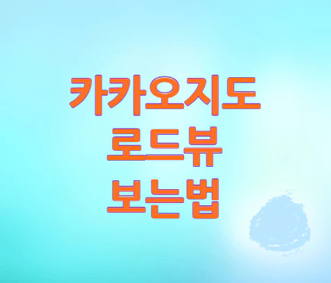 카카오지도-로드뷰