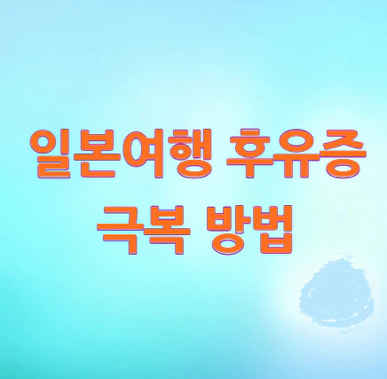 일본여행-후유증