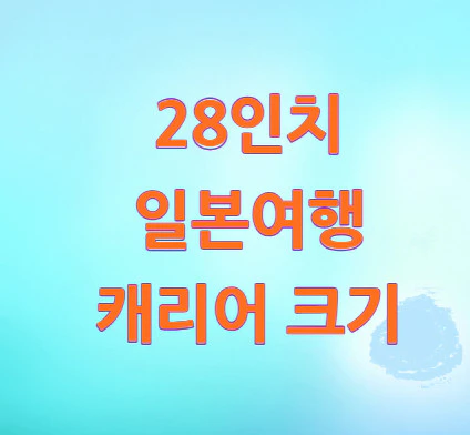 28인치-캐리어