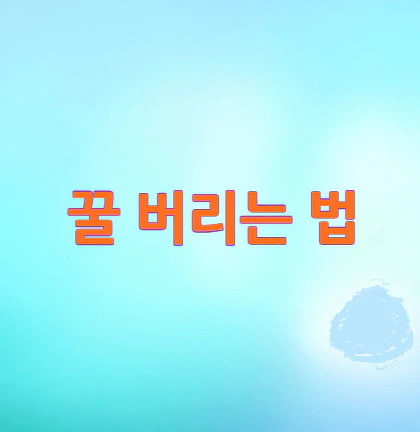 꿀-버리는-법