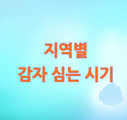 감자-심는-시기