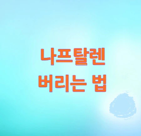 나프탈렌-버리는-법