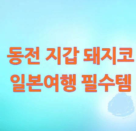 동전-지갑-돼지코