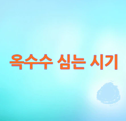 옥수수-심는-시기