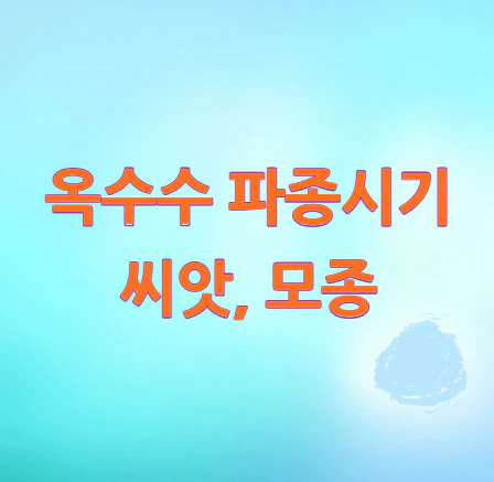 옥수수-파종시기