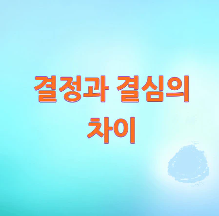 결정과-결심