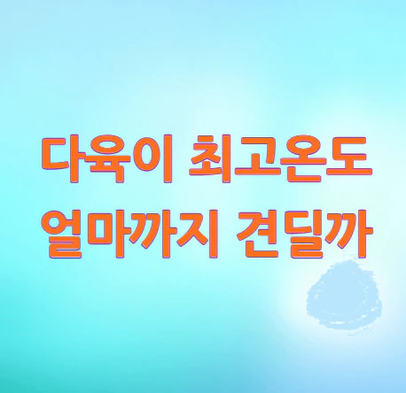 다육이-최고온도