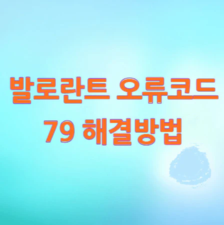발로란트-오류코드-79