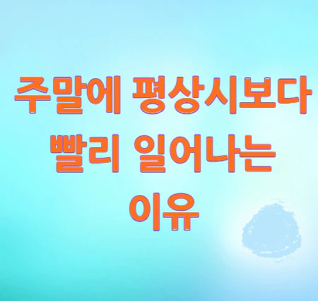 주말-평상시
