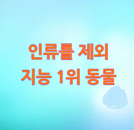 지능-1위-동물
