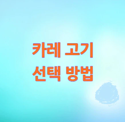 카레-고기
