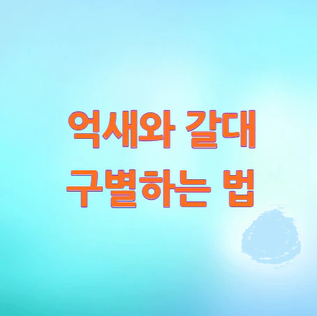 억새와-갈대-구별