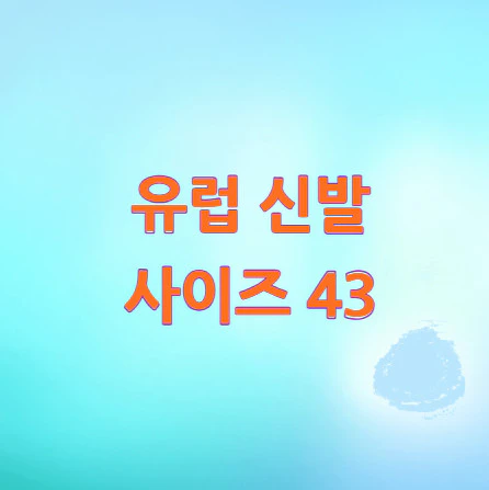 유럽-신발-사이즈-43