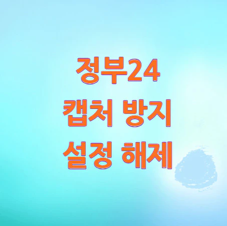 정부24-캡처-방지-설정-해제