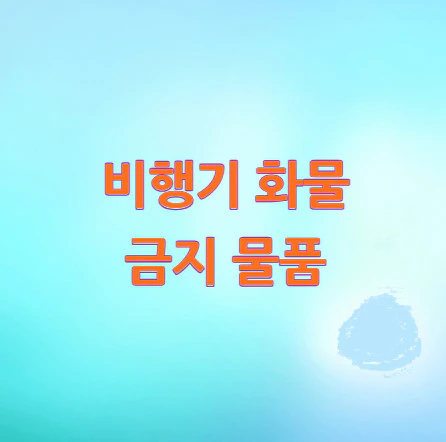 비행기-화물-금지-물품