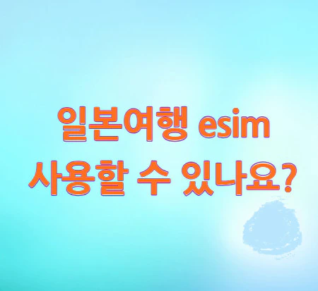 일본여행-esim