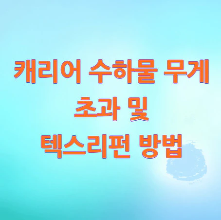 캐리어-수하물-무게