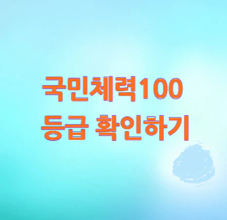 국민체력100-등급