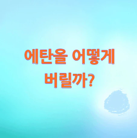 에탄올-버리기