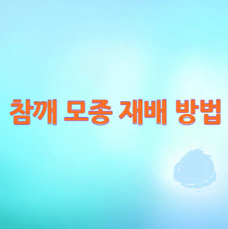 참깨-모종-재배-방법