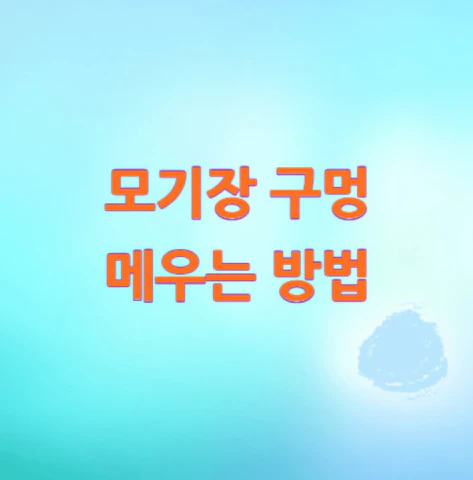 모기장-구멍