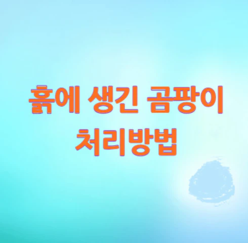 흙-곰팡이